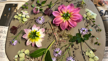 Bakom konstnären: Ellen låter naturen sätta sina spår