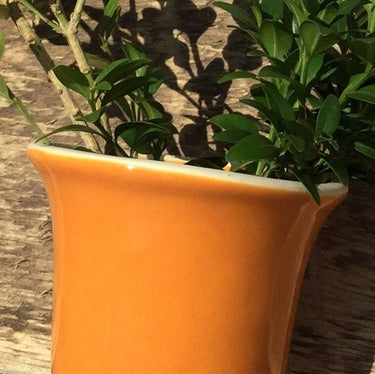 Lergodsglasyr 9486 Pumpa