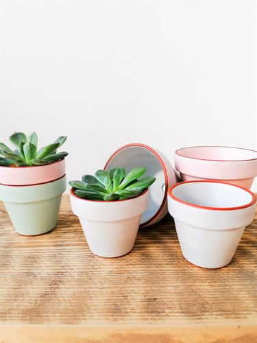 Lergodsglasyr 9494 Mint