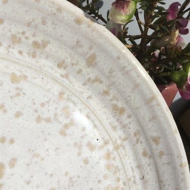 Lergodsglasyr 9531 Vinteräng