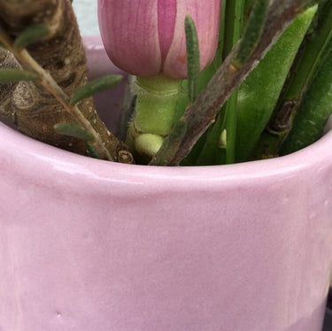 Lergodsglasyr 9561 Rosa