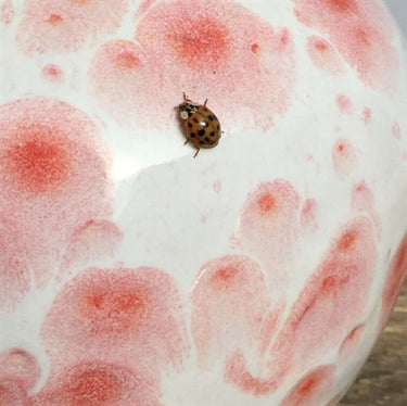 Lergodsglasyr 9594 Morgenrød