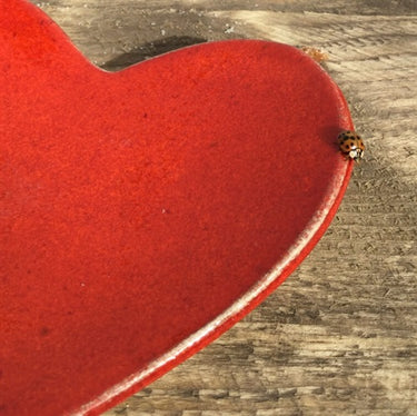 Lergodsglasyr 9607 Korallröd