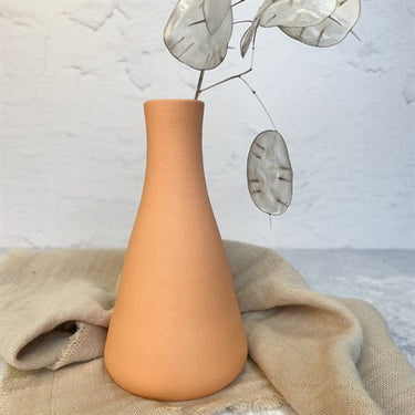 Stengodsengobe 9826 Florida