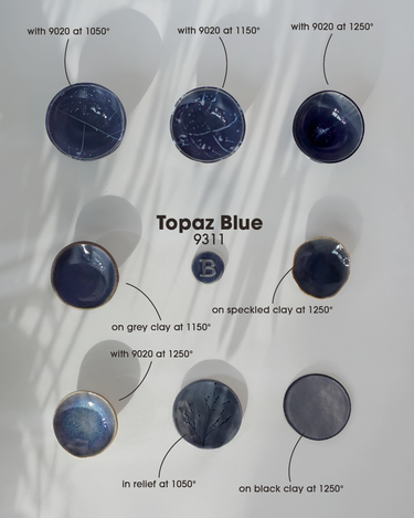 Botz Pro 9311 Topaz Blue