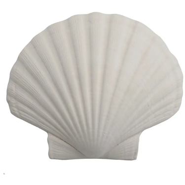 Gjutform – Snäckskal, Ø 13 cm