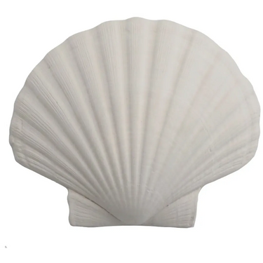 Gjutform – Snäckskal, Ø 13 cm