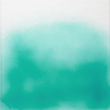 Thompson till Float Cactus Transp. 6340