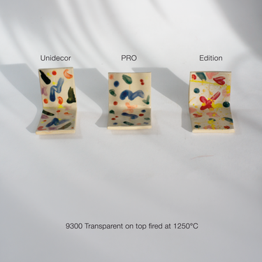 Botz Pro 9300 Transparent
