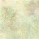 Antik spegel Antico Veneziano, 4mm 122 x 240cm