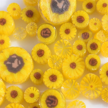 Murrine - Sunflower CoE96
